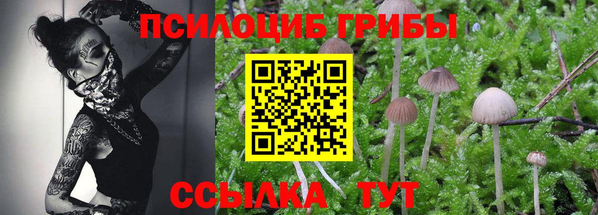 Псилоцибиновые грибы MAGIC MUSHROOMS  Псилоцибиновые грибы мухоморы  дарнет шоп  Вход с VPN  Октябрьский 