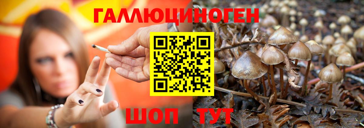 Галлюциногенные грибы мухоморы Октябрьский